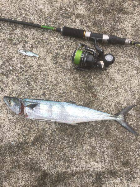 ウキ→ワインド→ショアジギ