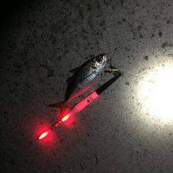 急に渋くなりました