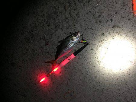 急に渋くなりました