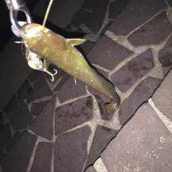 高校の友達と！