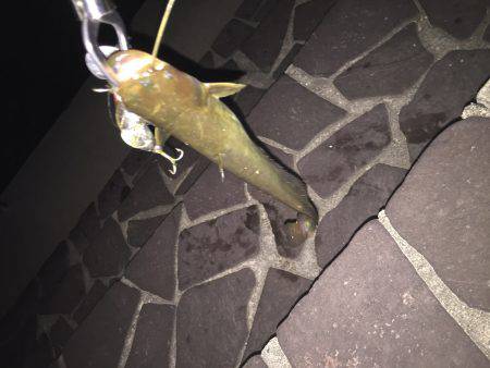 高校の友達と！