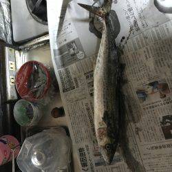 えいのいやか、せ