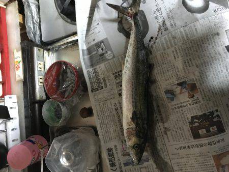 えいのいやか、せ