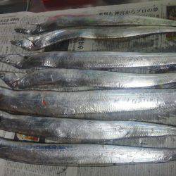 太刀魚ゲット・・・・・