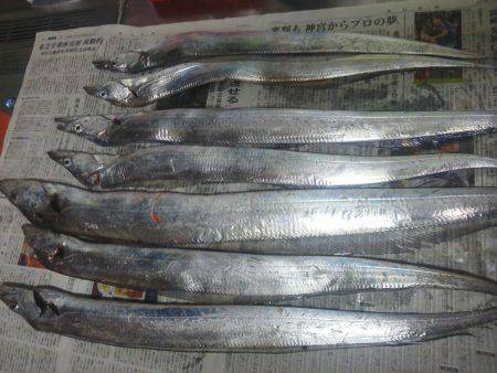 太刀魚ゲット・・・・・