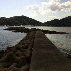 短時間エギング