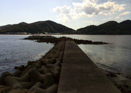 短時間エギング