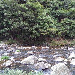 一庫大路次の鮎