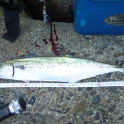 ５バイトやのに…１ゲット