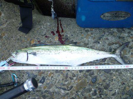 ５バイトやのに...１ゲット