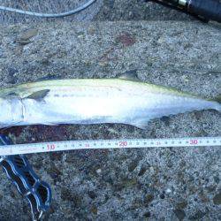 朝練(今週2回目）