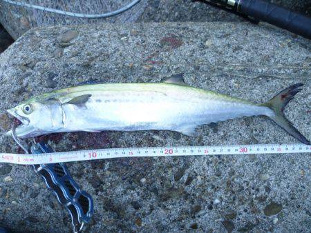 朝練(今週2回目）