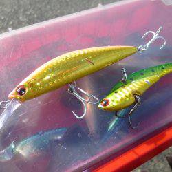 3バラシ、1ゲット