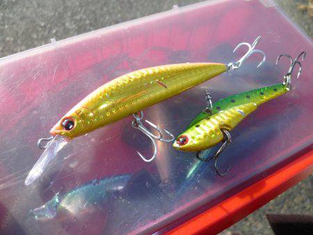 3バラシ、1ゲット