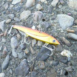 バリッコ・バリッコ・バリバリッコ～♬