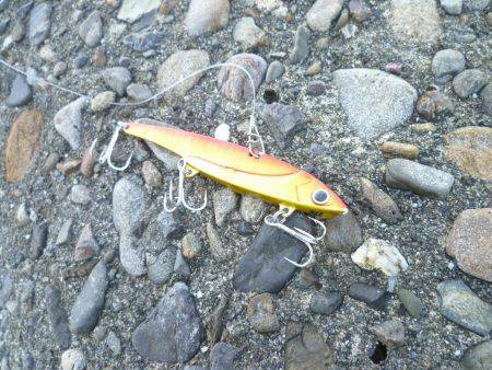 バリッコ・バリッコ・バリバリッコ～♬