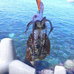 ハイプレッシャーの中ぽつりぽつり