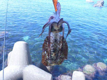 ハイプレッシャーの中ぽつりぽつり