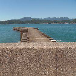 小アジ入れ食い！