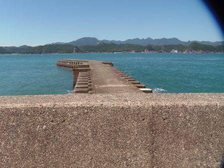 小アジ入れ食い！