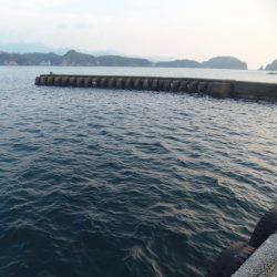 遠投サビキで小アジ３０匹