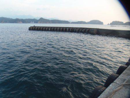 遠投サビキで小アジ３０匹