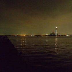 大阪市内へタチウオ釣行