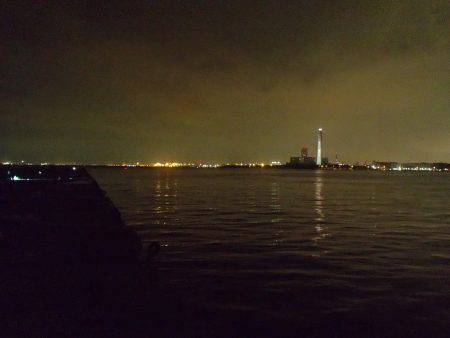 大阪市内へタチウオ釣行