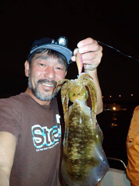 近海ボートエギング