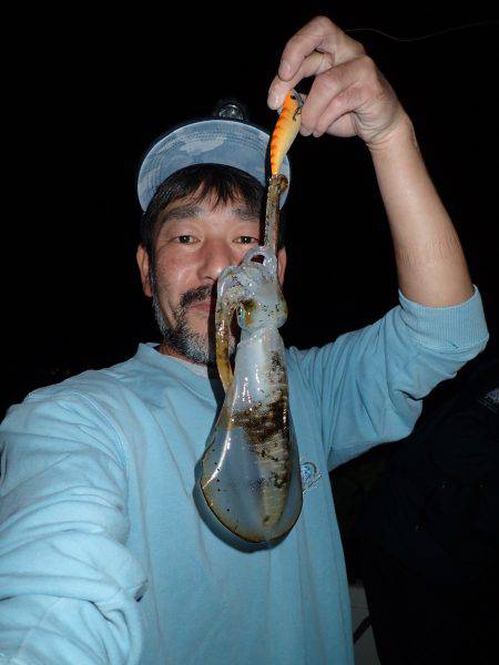 ボートエギング