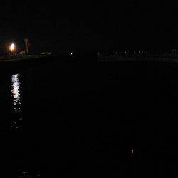 のませ&サビキ釣行