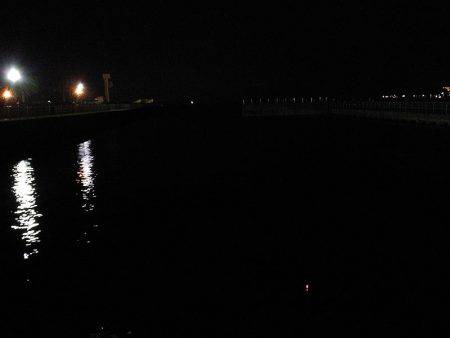 のませ&サビキ釣行