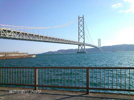 楽しいファミリーフィッシング