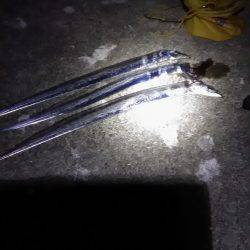 ポーアイ沖堤タチウオとサゴシとミニシイラ