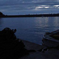 夜中から朝マズメまでエギング