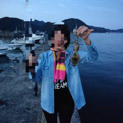 エギング初めました