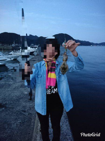 エギング初めました