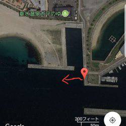 初フィールドエギング