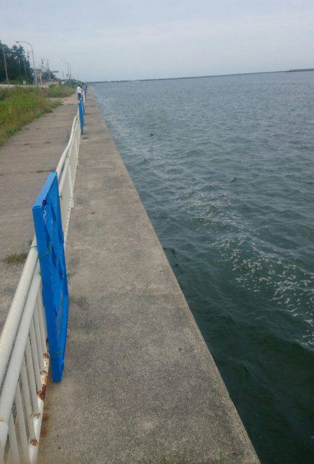 秋のエギング調査