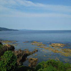 トンカツも釣れたけど まだ小型多し。
