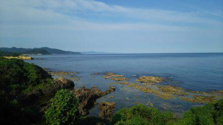 トンカツも釣れたけど まだ小型多し。