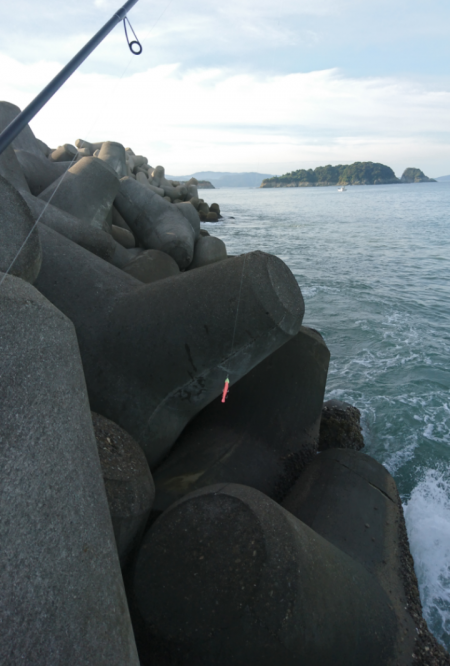 水軒テトラでタチウオ