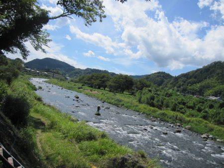 狩野川(狩野川漁業協同組合) 釣果