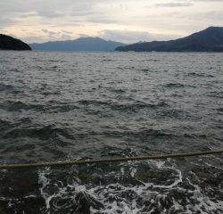 今日は蒸し暑かった。