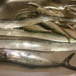 ファミリーフィッシング