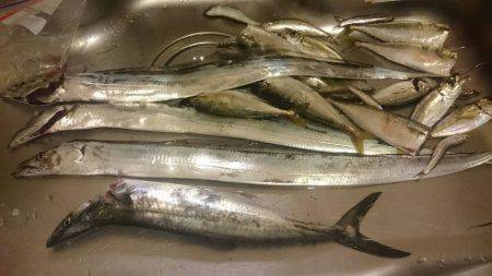 ファミリーフィッシング