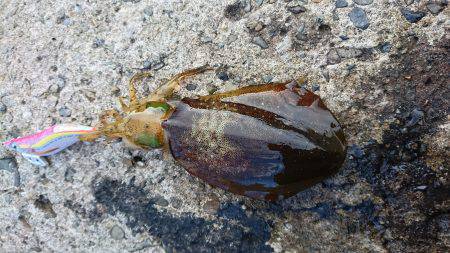 大ウネリに苦戦