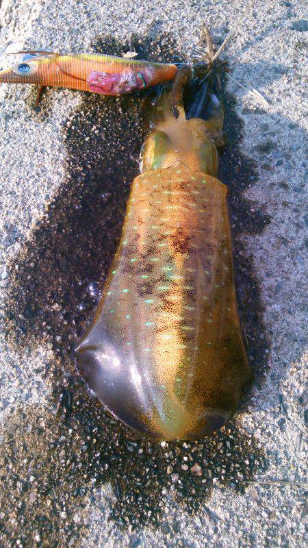 渋ッいなかなんとかツ抜け～！