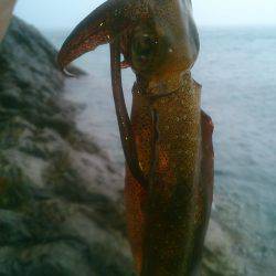 貸し借り(嵐)～♪