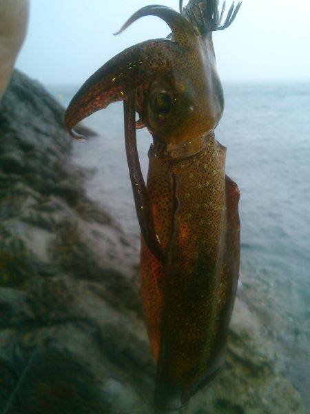 貸し借り(嵐)～♪